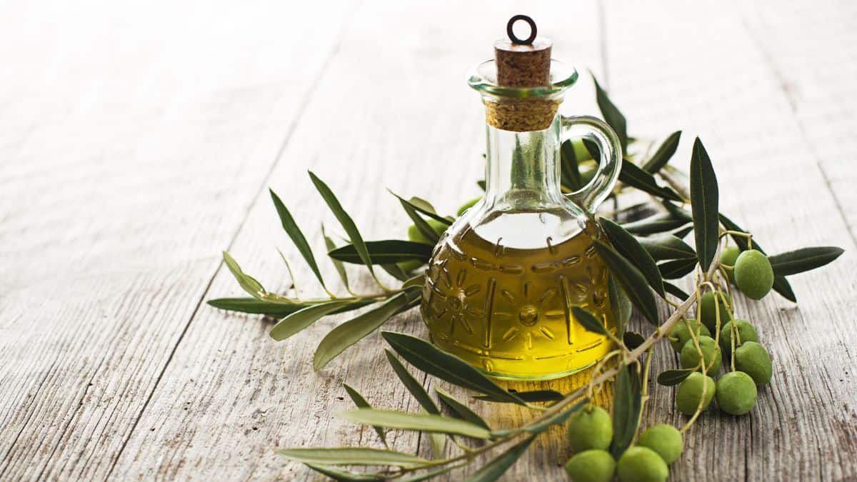 A bottle of olive oil next to some olives and olive branches.
