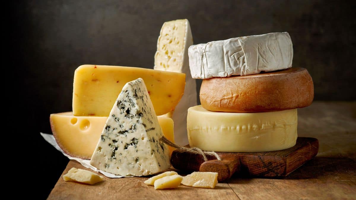 A variety of cheeses.