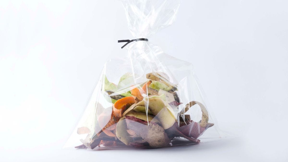 A plastic bag with food scraps.