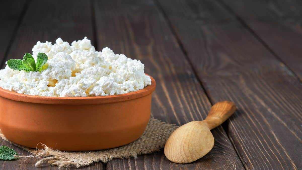 A bowl of cottage cheese.