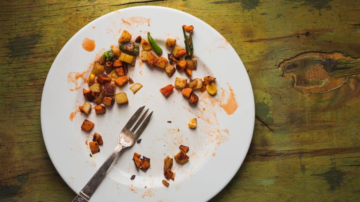 A plate with food scraps.