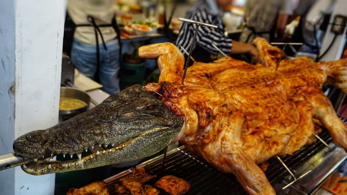 A grilled crocodile.