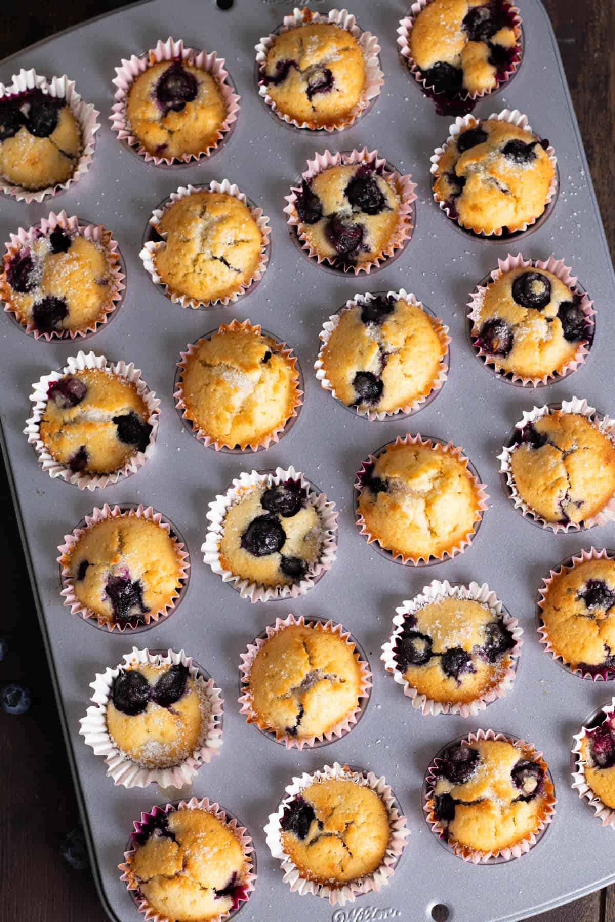Mini blueberry muffins.