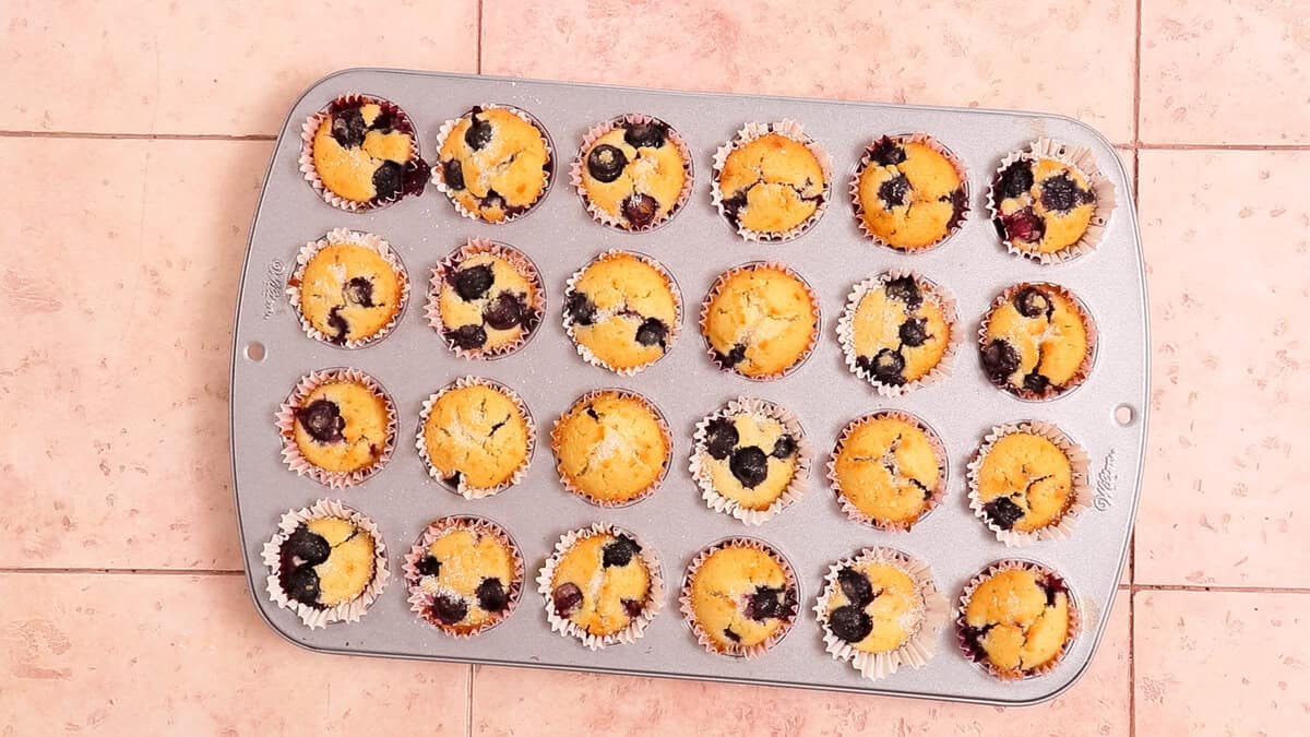 Mini blueberry muffins in a muffin tin after baking.