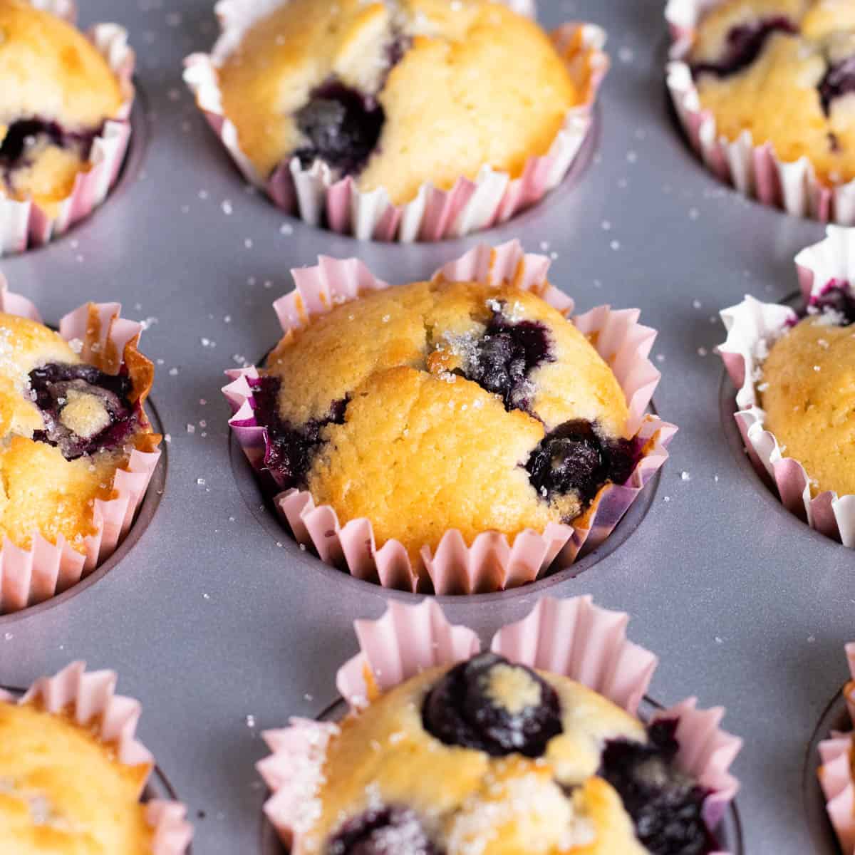 Mini blueberry muffins.