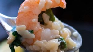 A spoonful of risotto with shrimp.