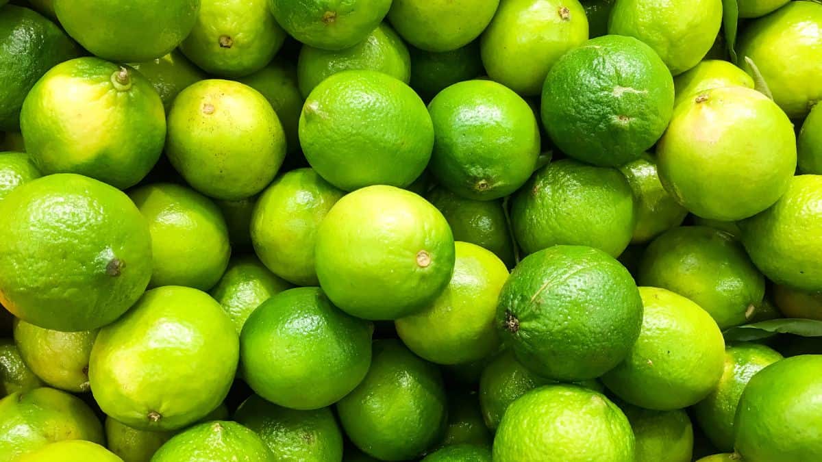 Limes.