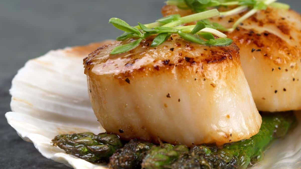 Seared scallop served on a shell.