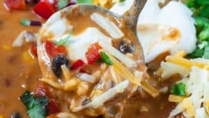 Lentil tortilla soup.