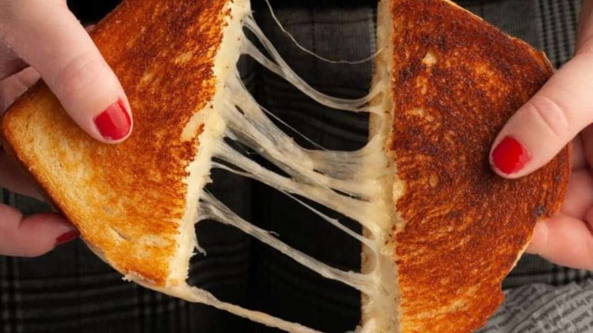 Havarti grilled cheese.
