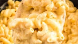 Creamy mac and cheese.