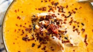 Spicy chicken soup.