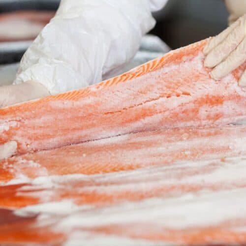 Salting salmon.