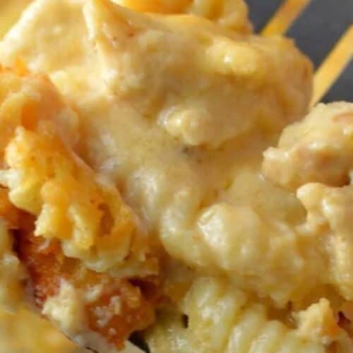 Baked chicken pasta.