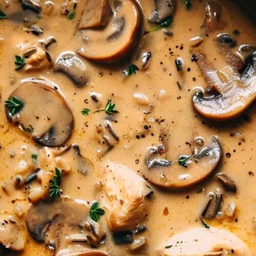 Chicken mushroom wild rice soup.