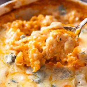 Buffalo mac and cheese.