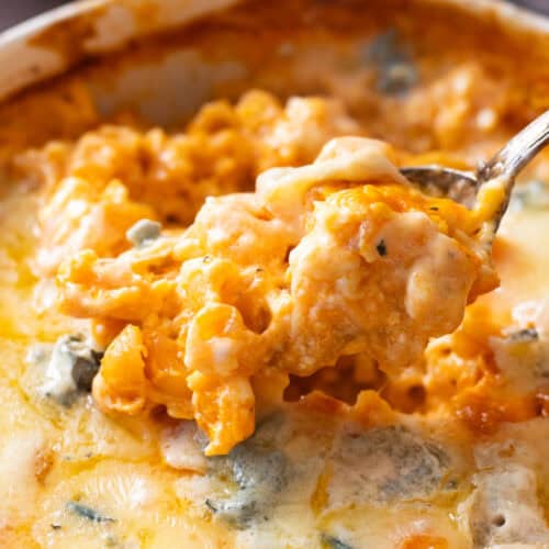 Buffalo mac and cheese.