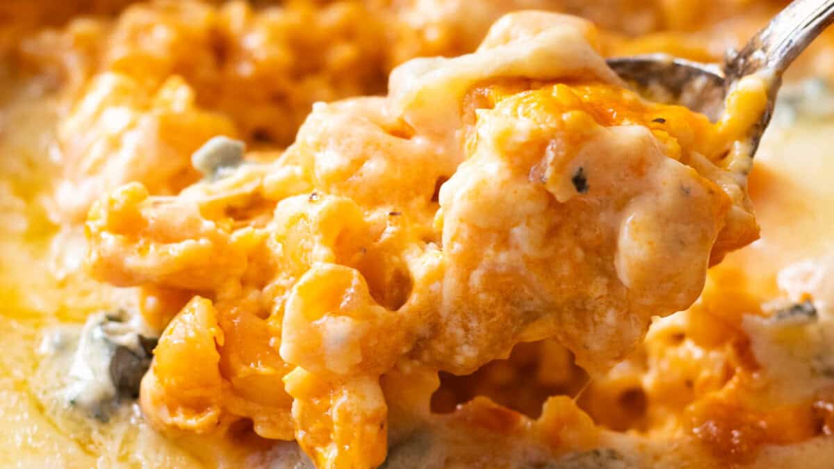 Buffalo mac and cheese.