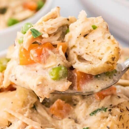 Chicken and dumplings.
