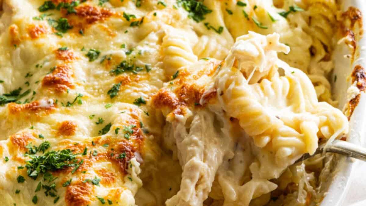 Baked Chicken Alfredo.