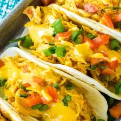 Slow cooker queso chicken in tacos.