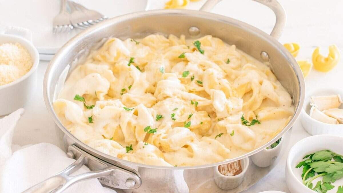 Cheese Tortellini Alfredo.
