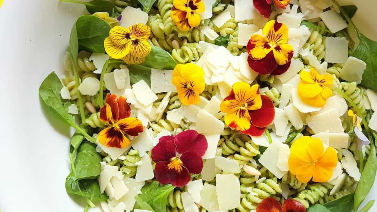Green Pasta Salad With Edible Flowers.