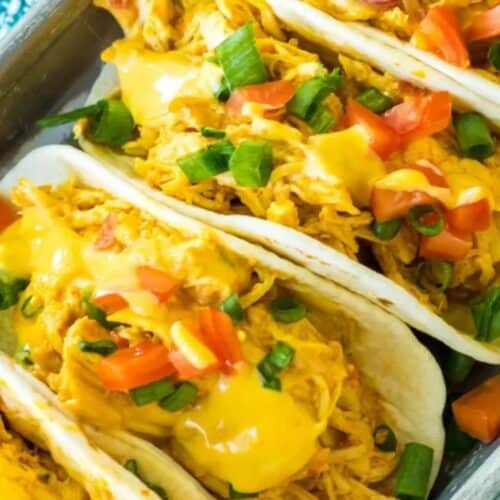Queso chicken tacos.