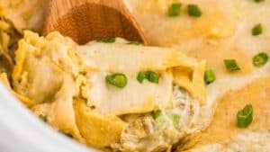 Sour cream chicken enchilada casserole.
