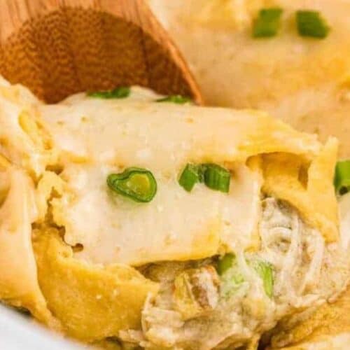 Sour cream chicken enchilada casserole.