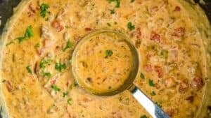 Velveeta cheese soup.