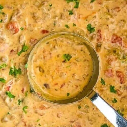 Velveeta cheese soup.